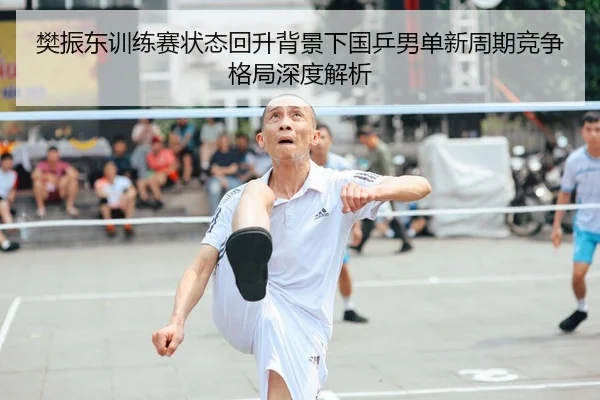 樊振东训练赛状态回升背景下国乒男单新周期竞争格局深度解析